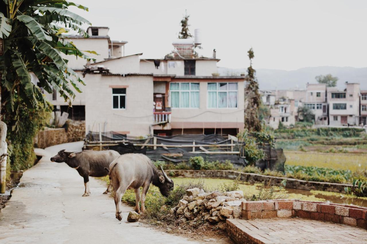 The Twelve Manor•Terraces Lodge Yuanyang  Zewnętrze zdjęcie