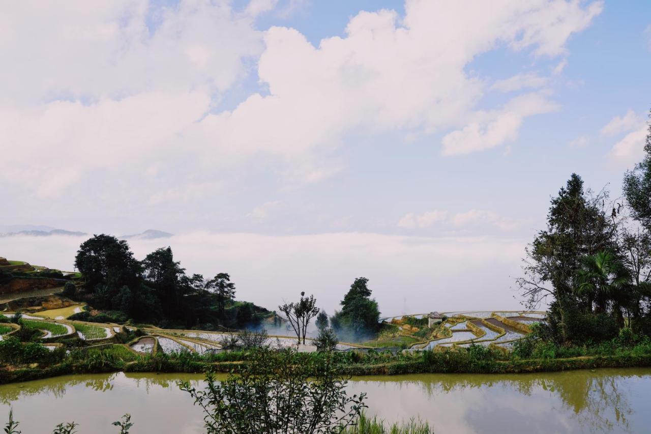 The Twelve Manor•Terraces Lodge Yuanyang  Zewnętrze zdjęcie